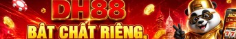 jdh88net