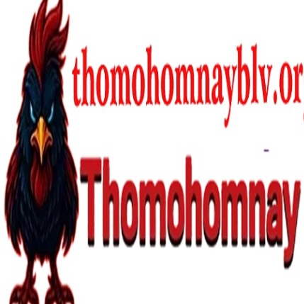 thomohomnayblv1