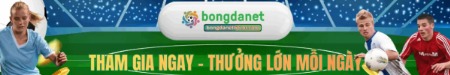 bongdanet66br