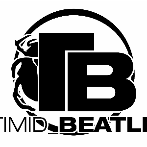 Timid_Beatle