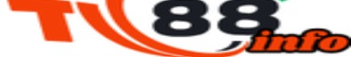 tic88info