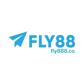 fly888co