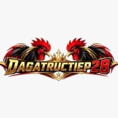 dagatructiep28