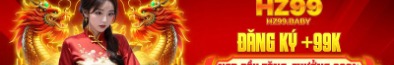 hz99baby