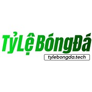tylebongdatech1
