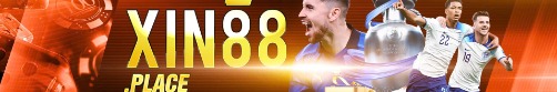 xin88place