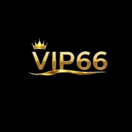 vip66vnorg