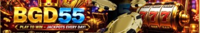 bdbgd55com