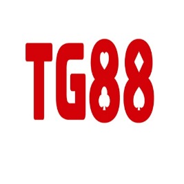 wwwtg88net