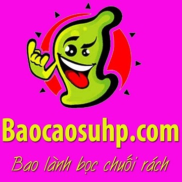 baocaosuhp01