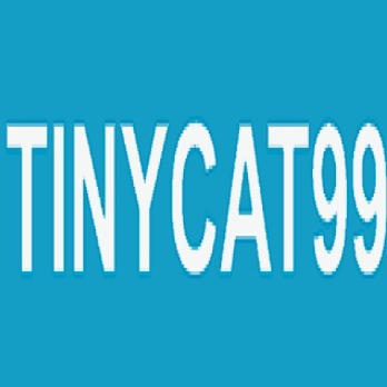 tinycat99autos