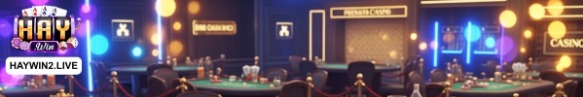 haywin2live