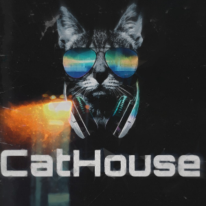 CatHouse