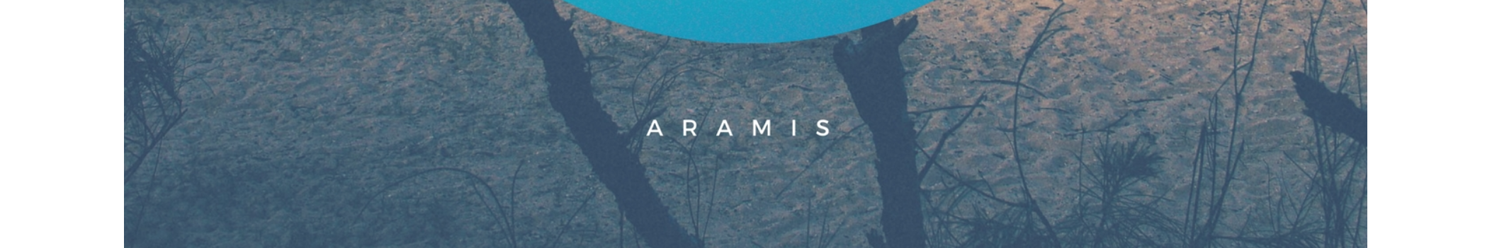 Official Aramis