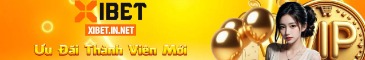 xibetinnet