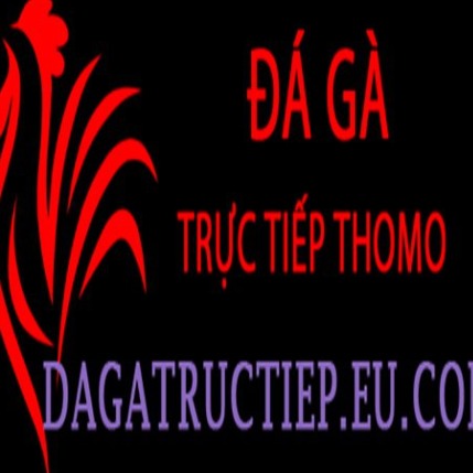 dagatructiepeucom