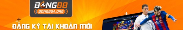 bong88aorg