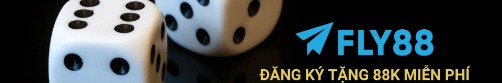 fly88com1