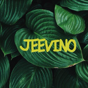 JEEVINO