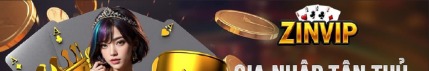 zinviporg