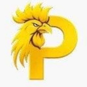 paitosdyio