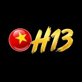 h13solutions