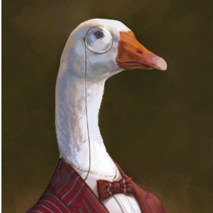 Mr Goose