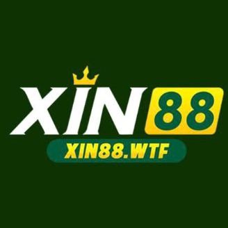 xin88wtf