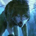 Wolfrix