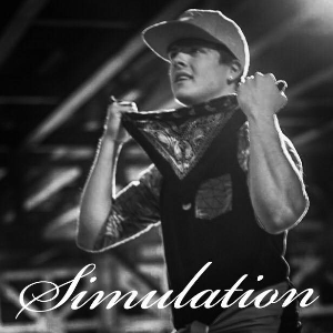 Simulation