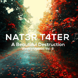 Nat3rt4ter