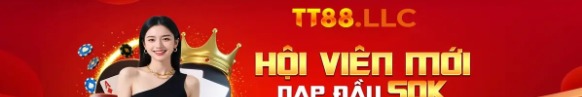 Tt88llc