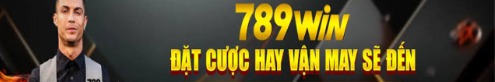 789wintstore