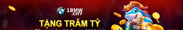 1bmwcity