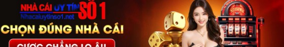 nhacaiuytinso1n