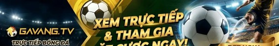 gavangtvcocom