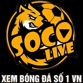 Socoliveday