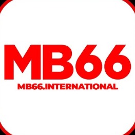 mb66international