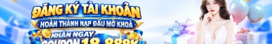 dtn88com