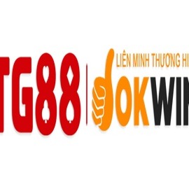 tg88agency