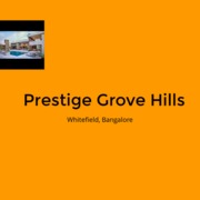 grovehillsprestige
