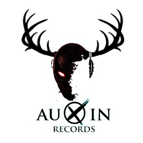 auxinrecords