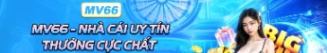 mv66courses