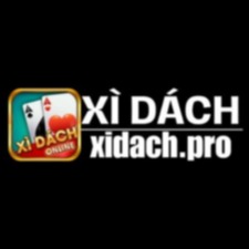 xidachpro