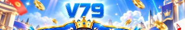 netsportv79site