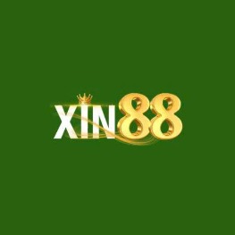 xin88vnorg