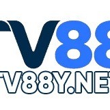 tv88ynet
