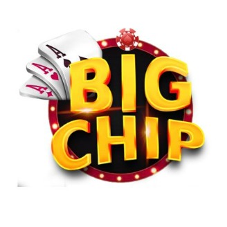 bigchipnet