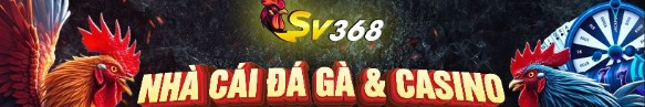 sv3689net