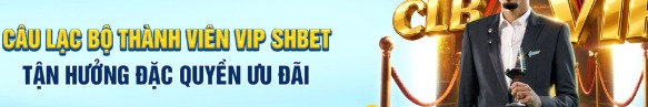shbet800comm1